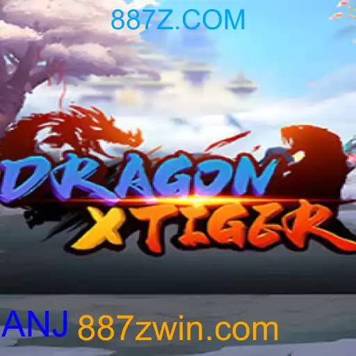 DragonXTiger